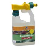 Sedospray gazon herfst