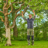 Gardena EnergyCut Pro S takkenschaar, dubbelgeslepen, takkenschaar voor groen hout 12050-20