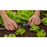 Gardena T-stuk voor sproeikoppen 13206-20