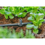 Gardena T-stuk voor sproeikoppen / einddruppelaars 4,6 mm (3/16") 13216-20