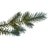 Kunstkerstboom, zilveren spar met metalen standaard