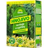 Orgamin-thuja’s en -cipressen