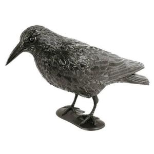 Model van een raaf om duiven en vogels te verjagen