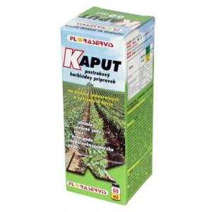 Kapot