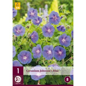 Geranium JOHNSON’S BLUE "B"
