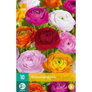 Ranunculus-mix "B"