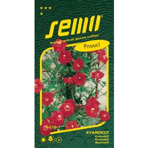 Semo Kvamoklit Kardinaal-klimplant 1 g