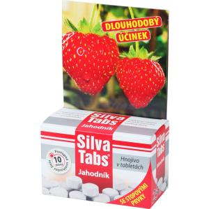 SilvaTabs-tabletten met aardbeiensmaak
