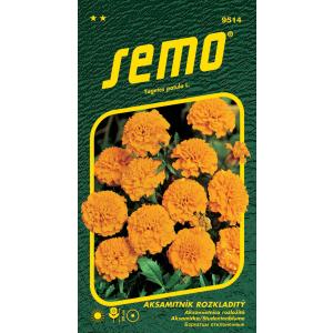 Semo Aksamitník uitgespreid Petit oranje 1 g