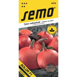Semo Pompoen, type Hokkaido Solor F1 8s
