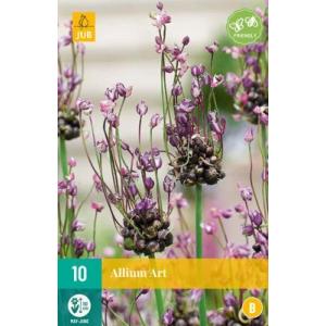 Knoflook Allium Art "B"