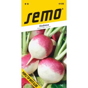 Semo Vodnica Purple Top White Globe, witvlees, 2 g