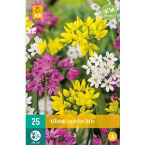 Knoflook Allium-soortenmix "B"
