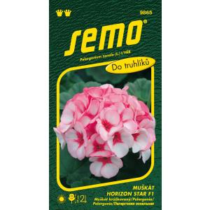 Semo Pelargonia 'Horizon Star' F1 11s