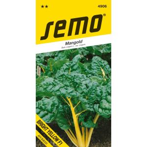 Semo Mangold Bright Yellow F1 groen 3 g