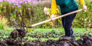 Welke herfstmeststoffen zijn het meest geschikt om planten winterklaar te maken?