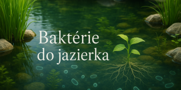 Bacteriën voor de vijver