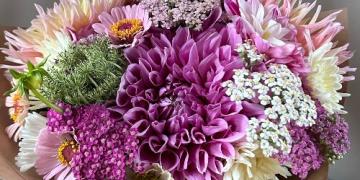 Zo worden bloeiende bloemen op een bloemenkwekerij gekweekt. Probeer het ook eens thuis