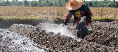 Tips voor het bekalken van de bodem voor verschillende gewassen