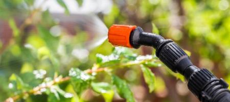 De meest gebruikte meststoffen en bestrijdingsmiddelen tegen ongedierte in het voorjaar