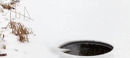 Een tuinvijver en visvijver winterklaar maken: stap voor stap