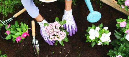 De populairste milieuvriendelijke producten die in elke tuin van pas komen