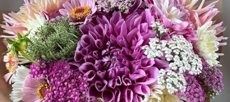 Zo worden bloeiende bloemen op een bloemenkwekerij gekweekt. Probeer het ook eens thuis