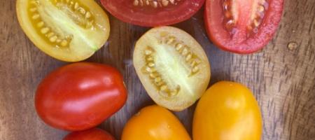 We hebben verschillende tomatenrassen getest. Welke smaken het lekkerst?